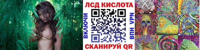 Марки NBOMe 1500мкг  наркота  Бирск 