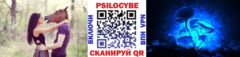 Псилоцибиновые грибы Psilocybe  Бирск 